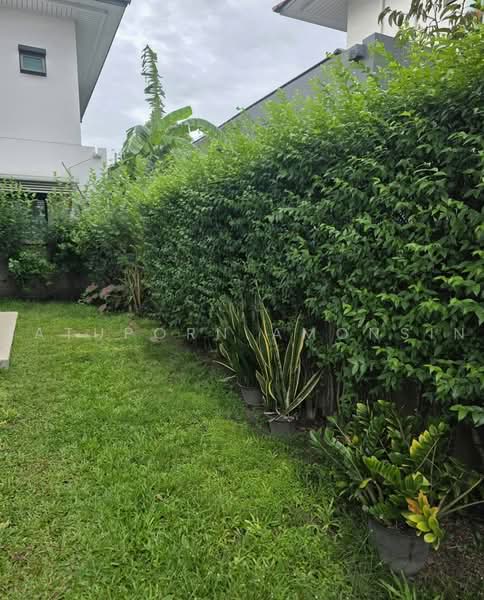 Setthasiri Krungthep Kreetha, Bangkok, Krungthep Kreetha Road, Hua Mak, Bang Kapi, Bangkok, 4 Bedrooms, 183 sqm, Single Detached House For Sale, by Jatuporn Amonsin, 500468559 - DDproperty.com
