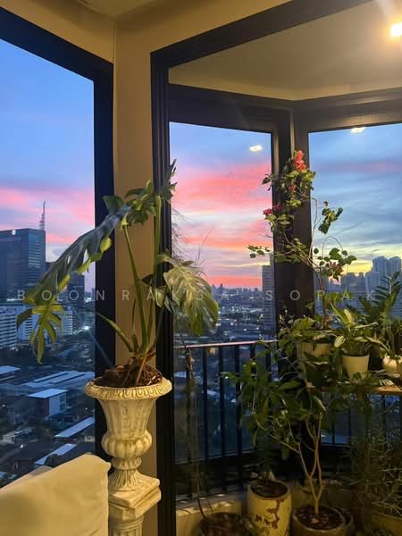 IDEO Q Sukhumvit 36, Bangkok, Soi Sukhumvit 36, Khong Tan, Khlong Toei, Bangkok, 2 Bedrooms, 50 sqm, Condo For Rent, by Boonraksa Sopak, 500468591 - DDproperty.com