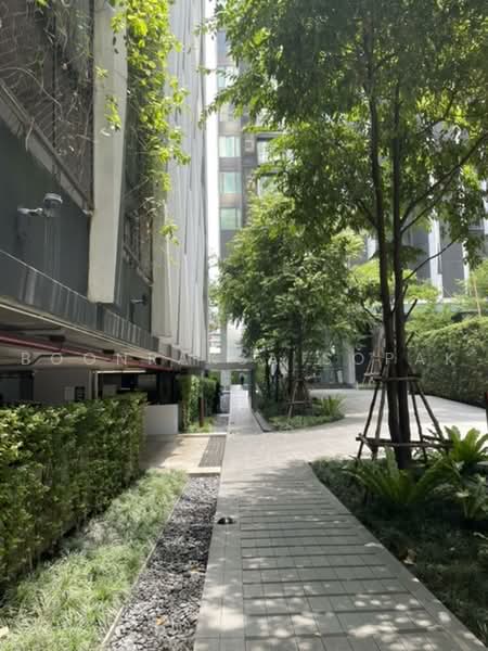The Edge Sukhumvit 23 : เอดจ์ สุขุมวิท 23, กรุงเทพ, 6 ซอยสุขุมวิท 23, คลองเตยเหนือ, วัฒนา, กรุงเทพ, 34 ตร.ม., คอนโด ให้เช่า, โดย Boonraksa Sopak, 500468610 - DDproperty.com