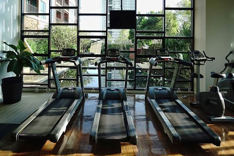 Wyne Sukhumvit, Bangkok, 1120 Sukhumvit Road, Phra Kanong, Khlong Toei, Bangkok, 2 Bedrooms, 62 sqm, Condo For Rent, by Boonraksa Sopak, 500468638 - DDproperty.com