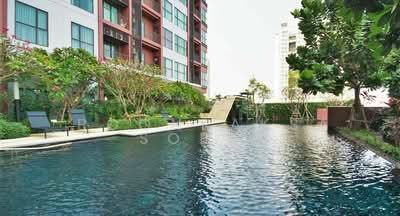 For Rent - Wyne Sukhumvit, Bangkok