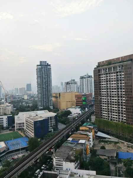 Life @ Sukhumvit 65, Bangkok, Sukhumvit Road, Phra Kanong Nua, Watthana, Bangkok, 1 Bedroom, 41 sqm, Condo For Sale, by Nicha Na Lampang, 500468806 - DDproperty.com