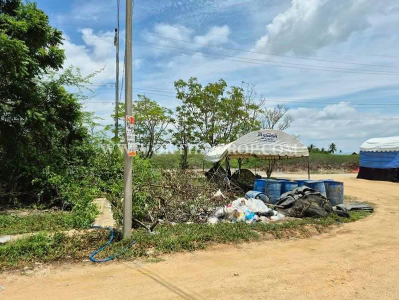 ต.หนองขนาน อ.เมืองเพชรบุรี จ.เพชรบุรี, Phetchaburi, Nong Khanan, Muang Phetchaburi, Phetchaburi, , 288 sqm, Land For Sale, by ณณัฐ ภัทรจินดานุวงศ์, 500468900 - DDproperty.com