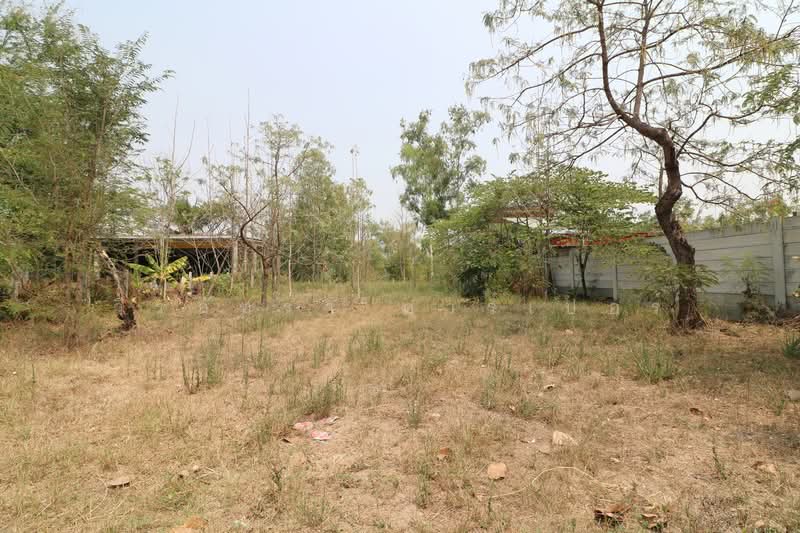 ขายที่ดินเปล่าทำเลดี มุมอ้อ อุดรธานี 783.6 ตร.ม. พร้อมสร้างบ้านหรือธุรกิจ, อุดรธานี, หมูม่น, เมืองอุดรธานี, อุดรธานี, 1,984 ตร.ม., ที่ดิน ขาย, โดย วีรภัทรา ดาร์เปอร์, 500468903 - DDproperty.com