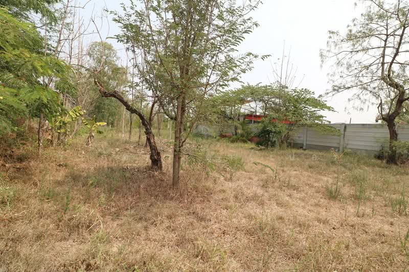Muang Udon Thani, Udon Thani, Mu Mon, Muang Udon Thani, Udon Thani, , 1,984 sqm, Land For Sale, by วีรภัทรา ดาร์เปอร์, 500468903 - DDproperty.com