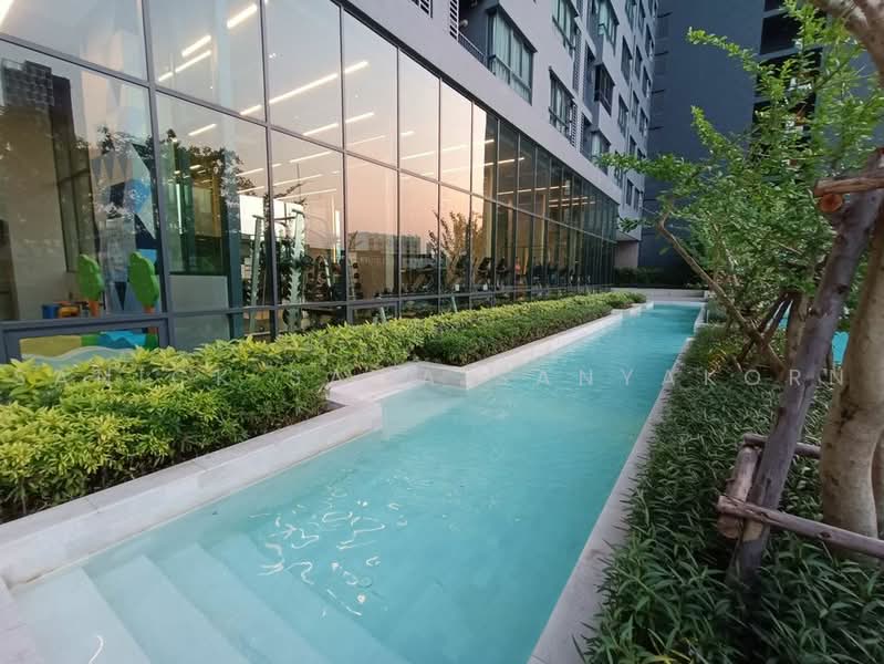 IDEO Sukhumvit 93 : ไอดีโอ สุขุมวิท 93, กรุงเทพ, 2331 ซอยสุขุมวิท 93, บางจาก, พระโขนง, กรุงเทพ, 32 ตร.ม., คอนโด ให้เช่า, โดย Sanick Sawaisanyakorn, 500468924 - DDproperty.com