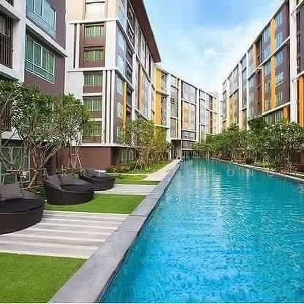 Dcondo Campus Resort Bangsaen, Chon Buri (Pattaya), 19-15 Bangsaen Sai 4 S Rd, Saen Suk, Muang Chon Buri, Chon Buri (Pattaya), 1 Bedroom, 30 sqm, Condo For Sale, by Harrison Chong, 500468932 - DDproperty.com