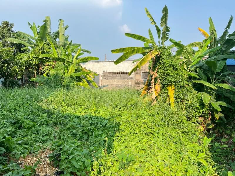 ที่ดินปากน้ำ สมุทรปราการ, Samut Prakan, Pak Nam, Muang Samut Prakarn, Samut Prakan, , 202 sqm, Land For Sale, by The Best Property ทัศ, 500468977 - DDproperty.com