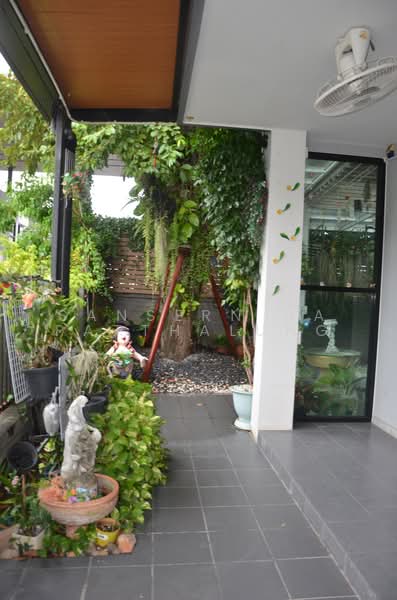Atoll Wongwaen-Lamlukka, Pathum Thani, Lam Luk Ka Road, Lat Sawai, Lam Luk Ka, Pathum Thani, 5 Bedrooms, 200 sqm, Single Detached House For Rent, by Sansern Na Patthalung, 500468987 - DDproperty.com