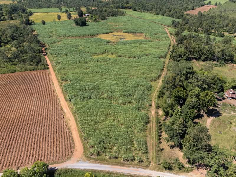 36 Rai Farmland for Sale Near Nong Bua Lam Phu | Thailand Lifestyle Land Nong Bua Lam Phu, Nong Bua Lam Phu, Hua Na, Muang Nong Bua Lam Phu, Nong Bua Lam Phu, , 59,188 sqm, Land For Sale, by วีรภัทรา ดาร์เปอร์, 500469021 - DDproperty.com