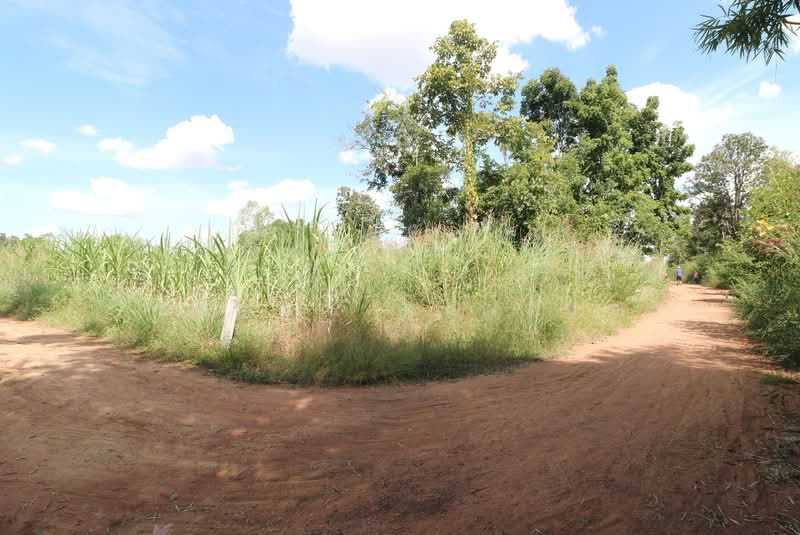 36 Rai Farmland for Sale Near Nong Bua Lam Phu | Thailand Lifestyle Land Nong Bua Lam Phu, Nong Bua Lam Phu, Hua Na, Muang Nong Bua Lam Phu, Nong Bua Lam Phu, , 59,188 sqm, Land For Sale, by วีรภัทรา ดาร์เปอร์, 500469021 - DDproperty.com