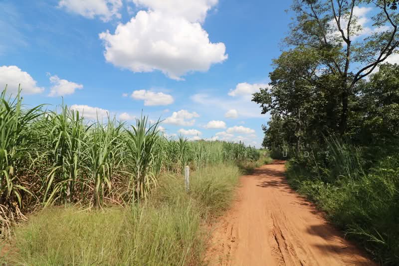 36 Rai Farmland for Sale Near Nong Bua Lam Phu | Thailand Lifestyle Land Nong Bua Lam Phu, Nong Bua Lam Phu, Hua Na, Muang Nong Bua Lam Phu, Nong Bua Lam Phu, , 59,188 sqm, Land For Sale, by วีรภัทรา ดาร์เปอร์, 500469021 - DDproperty.com