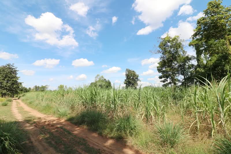 ขายที่ดินทำกิน 36 ไร่ ใกล้หนองบัวลำภู | เป็นเจ้าของที่ดินไลฟ์สไตล์ไทย-อีสานได้แล้ว, หนองบัวลำภู, หัวนา, เมืองหนองบัวลำภู, หนองบัวลำภู, 59,188 ตร.ม., ที่ดิน ขาย, โดย วีรภัทรา ดาร์เปอร์, 500469021 - DDproperty.com