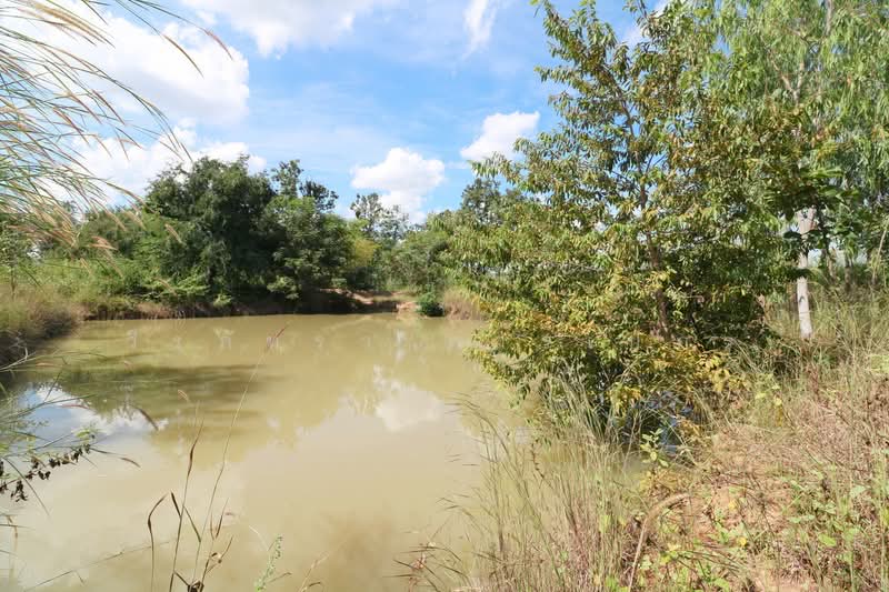 36 Rai Farmland for Sale Near Nong Bua Lam Phu | Thailand Lifestyle Land Nong Bua Lam Phu, Nong Bua Lam Phu, Hua Na, Muang Nong Bua Lam Phu, Nong Bua Lam Phu, , 59,188 sqm, Land For Sale, by วีรภัทรา ดาร์เปอร์, 500469021 - DDproperty.com