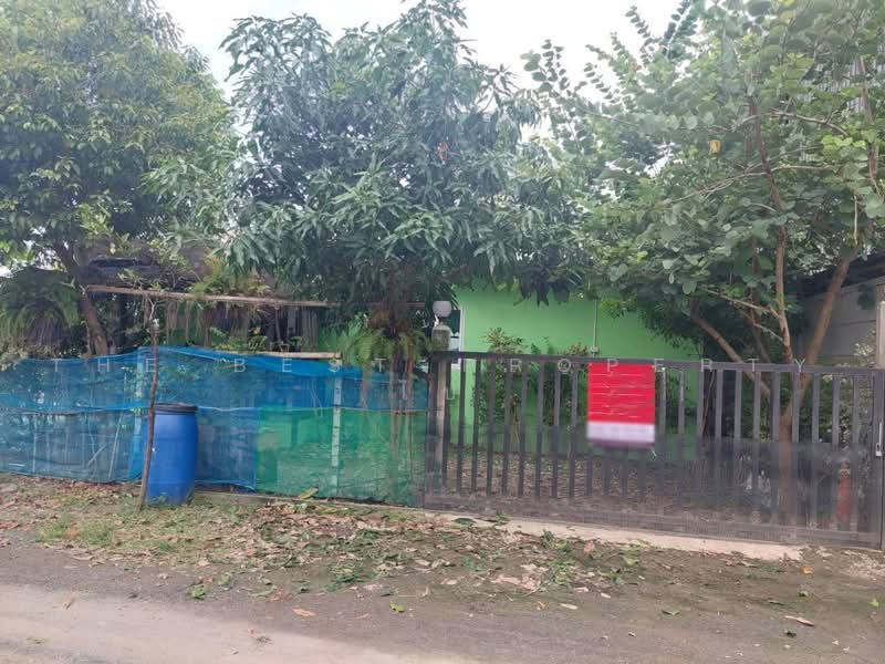 บ้านเดี่ยวพร้อมที่ดินลำลูกกา ปทุมธานี, ปทุมธานี, บึงทองหลาง, ลำลูกกา, ปทุมธานี, 400 ตร.ม., บ้านเดี่ยว ขาย, โดย The Best Property ไป่, 500469054 - DDproperty.com