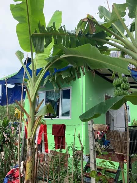 บ้านเดี่ยวพร้อมที่ดินลำลูกกา ปทุมธานี, Pathum Thani, Bung Thong Lang, Lam Luk Ka, Pathum Thani, 1 Bedroom, 400 sqm, Single Detached House For Sale, by The Best Property ไป่, 500469054 - DDproperty.com