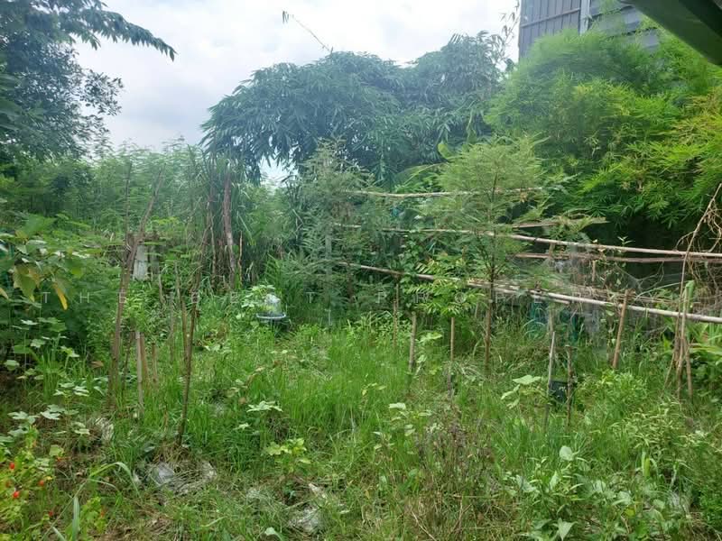 บ้านเดี่ยวพร้อมที่ดินลำลูกกา ปทุมธานี, ปทุมธานี, บึงทองหลาง, ลำลูกกา, ปทุมธานี, 400 ตร.ม., บ้านเดี่ยว ขาย, โดย The Best Property ไป่, 500469054 - DDproperty.com