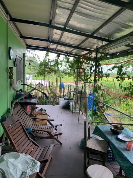บ้านเดี่ยวพร้อมที่ดินลำลูกกา ปทุมธานี, ปทุมธานี, บึงทองหลาง, ลำลูกกา, ปทุมธานี, 400 ตร.ม., บ้านเดี่ยว ขาย, โดย The Best Property ไป่, 500469054 - DDproperty.com