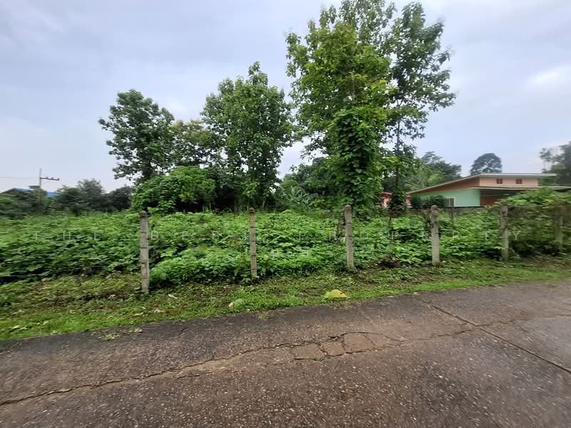 ที่ดินแม่กรณ์ เชียงราย, Chiang Rai, Mae Kon, Muang Chiang Rai, Chiang Rai, , 1,645 sqm, Land For Sale, by The Best Property ไนล์, 500469104 - DDproperty.com