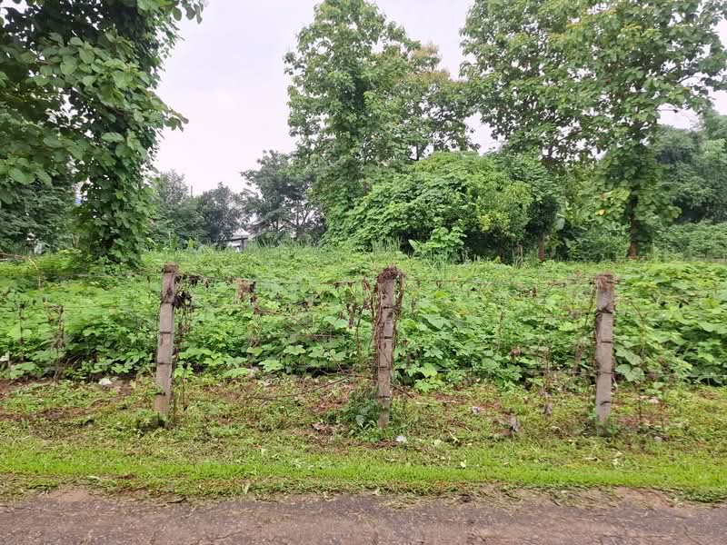 ที่ดินแม่กรณ์ เชียงราย, Chiang Rai, Mae Kon, Muang Chiang Rai, Chiang Rai, , 1,645 sqm, Land For Sale, by The Best Property ไนล์, 500469104 - DDproperty.com