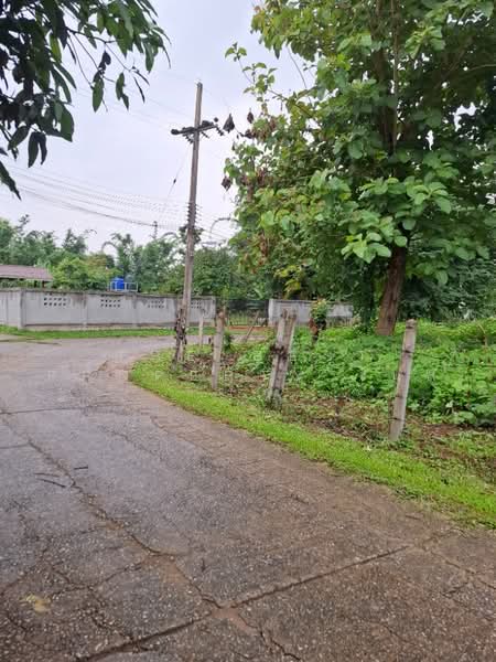 ที่ดินแม่กรณ์ เชียงราย, Chiang Rai, Mae Kon, Muang Chiang Rai, Chiang Rai, , 1,645 sqm, Land For Sale, by The Best Property ไนล์, 500469104 - DDproperty.com