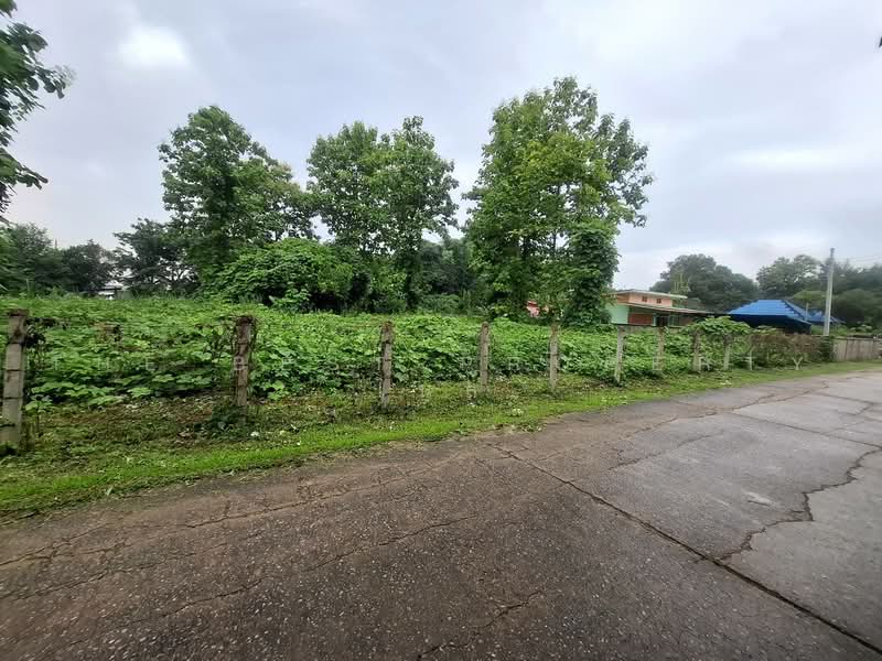 ที่ดินแม่กรณ์ เชียงราย, Chiang Rai, Mae Kon, Muang Chiang Rai, Chiang Rai, , 1,645 sqm, Land For Sale, by The Best Property ไนล์, 500469104 - DDproperty.com