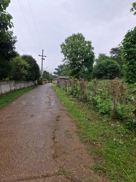 ที่ดินแม่กรณ์ เชียงราย, Chiang Rai, Mae Kon, Muang Chiang Rai, Chiang Rai, , 1,645 sqm, Land For Sale, by The Best Property ไนล์, 500469104 - DDproperty.com