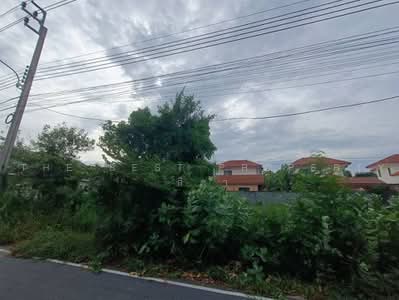 ขาย - ที่ดินบางบัวทอง นนทบุรี, นนทบุรี