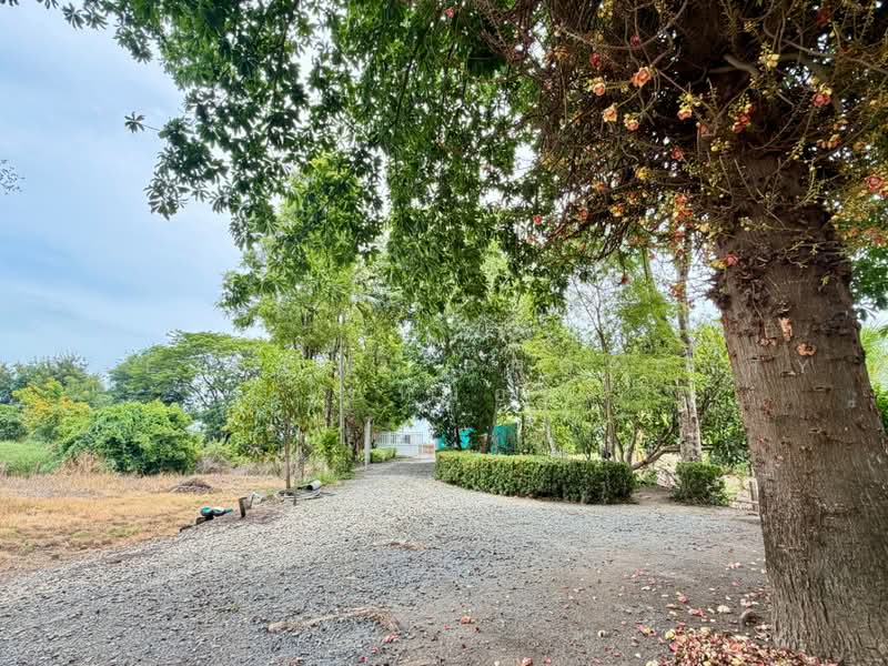 บ้านเดี่ยวพร้อมที่ดินเสนา พระนครศรีอยุธยา, Phra Nakhon Si Ayutthaya, Hua Wieng, Sena, Phra Nakhon Si Ayutthaya, 2 Bedrooms, 150 sqm, Single Detached House For Sale, by The Best Property ใบหม่อน, 500469190 - DDproperty.com