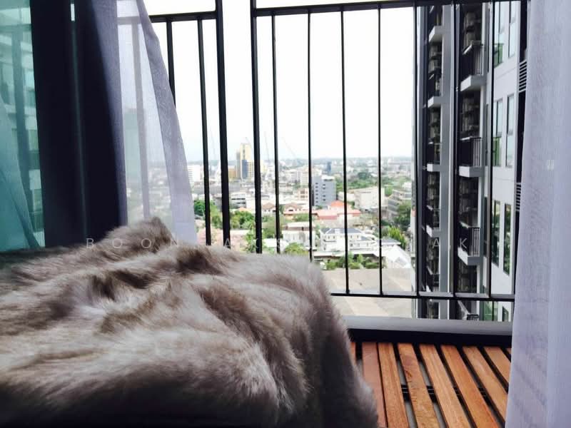 Rhythm Sukhumvit 36-38, Bangkok, 55 Soi Sukhumvit 36, Sukhumvit Road, Phra Kanong, Khlong Toei, Bangkok, 1 Bedroom, 34 sqm, Condo For Rent, by Boonraksa Sopak, 500469216 - DDproperty.com