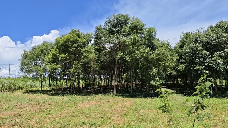 บ้านคา, ราชบุรี, บ้านคา, บ้านคา, ราชบุรี, 9,040 ตร.ม., ที่ดิน ขาย, โดย จุฑามาส ศรีสง่า, 500469243 - DDproperty.com