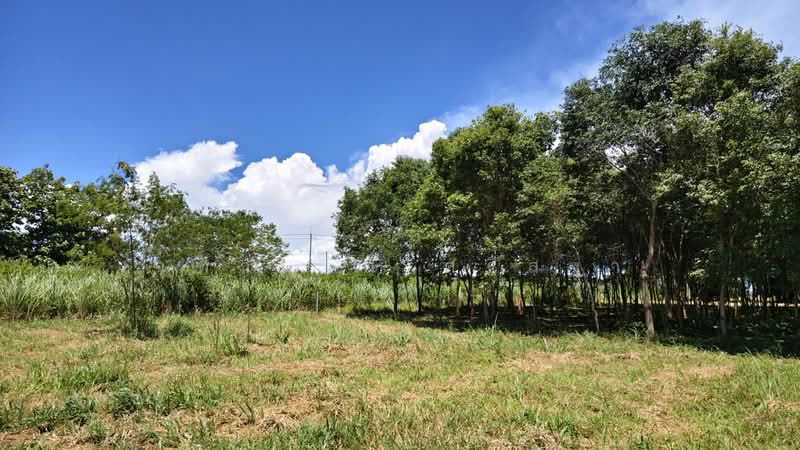 บ้านคา, Ratchaburi, Ban-Ka, Ban Kha, Ratchaburi, , 9,040 sqm, Land For Sale, by จุฑามาส ศรีสง่า, 500469243 - DDproperty.com