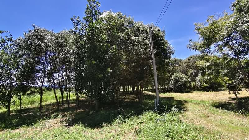 บ้านคา, Ratchaburi, Ban-Ka, Ban Kha, Ratchaburi, , 9,040 sqm, Land For Sale, by จุฑามาส ศรีสง่า, 500469243 - DDproperty.com