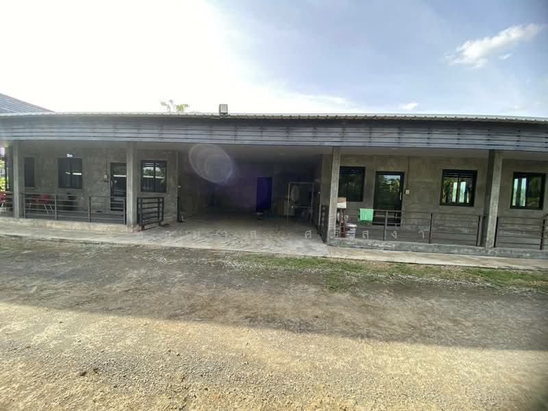 โพรงมะเดื่อ, Nakhon Pathom, Phrong Ma Dua, Muang Nakhon Pathom, Nakhon Pathom, , 10,840 sqm, Land For Sale, by จุฑามาส ศรีสง่า, 500469264 - DDproperty.com