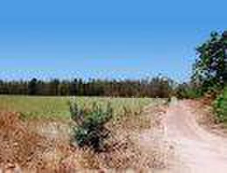 หนองตากยา, Kanchanaburi, Nong Tak Ya, Tha Muang, Kanchanaburi, , 1,600 sqm, Land For Sale, by รจิต อุ่นจิตติ, 500469286 - DDproperty.com