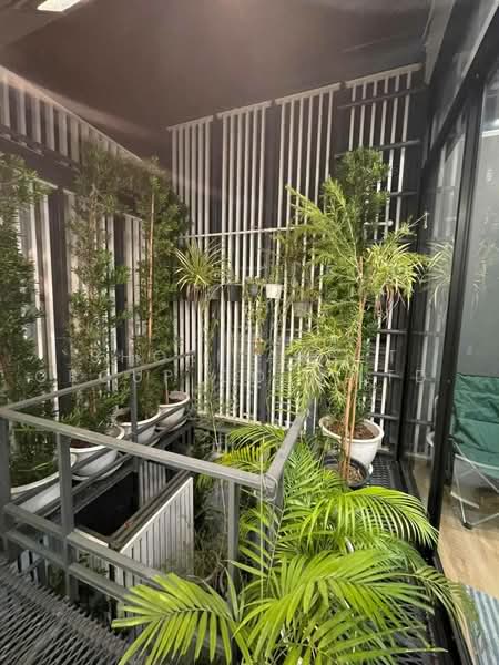 Luxury townhome in Ramkhamhaeng, Bangkok, Hua Mak, Bang Kapi, Bangkok, 3 Bedrooms, 220 sqm, Townhouse For Rent, by Shori Asset Group Co., Ltd., 500469300 - DDproperty.com