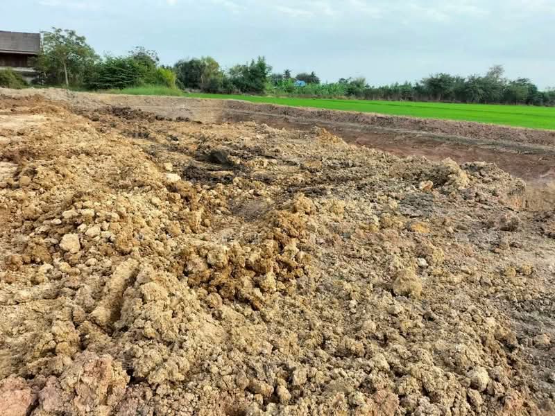 ไร่รถ, Suphan Buri, Rai Rot, Don Chedi, Suphan Buri, , 3,360 sqm, Land For Sale, by พงศ์ภัทร์ ธัญโชควราพงศ์, 500469311 - DDproperty.com