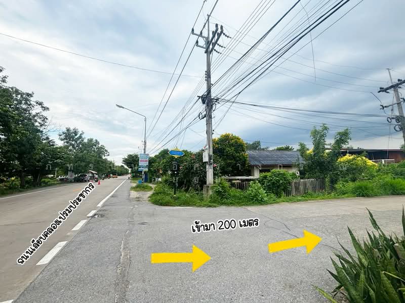 Poon Lap, Pathum Thani, Bang Thut, Muang Pathum Thani, Pathum Thani, , 312 sqm, Land For Sale, by ภัทรนัน อิศรางกูร ณ อยุธยา, 500469347 - DDproperty.com