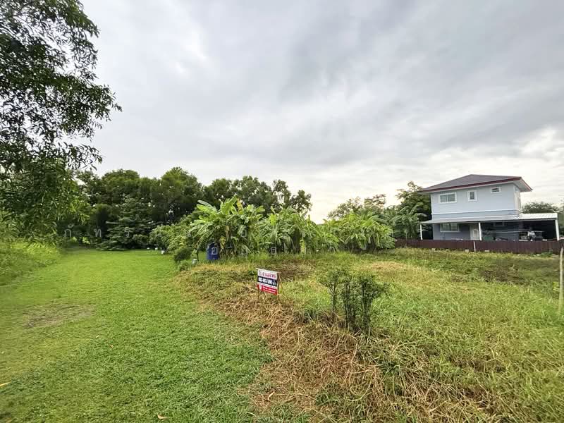Poon Lap, Pathum Thani, Bang Thut, Muang Pathum Thani, Pathum Thani, , 312 sqm, Land For Sale, by ภัทรนัน อิศรางกูร ณ อยุธยา, 500469347 - DDproperty.com