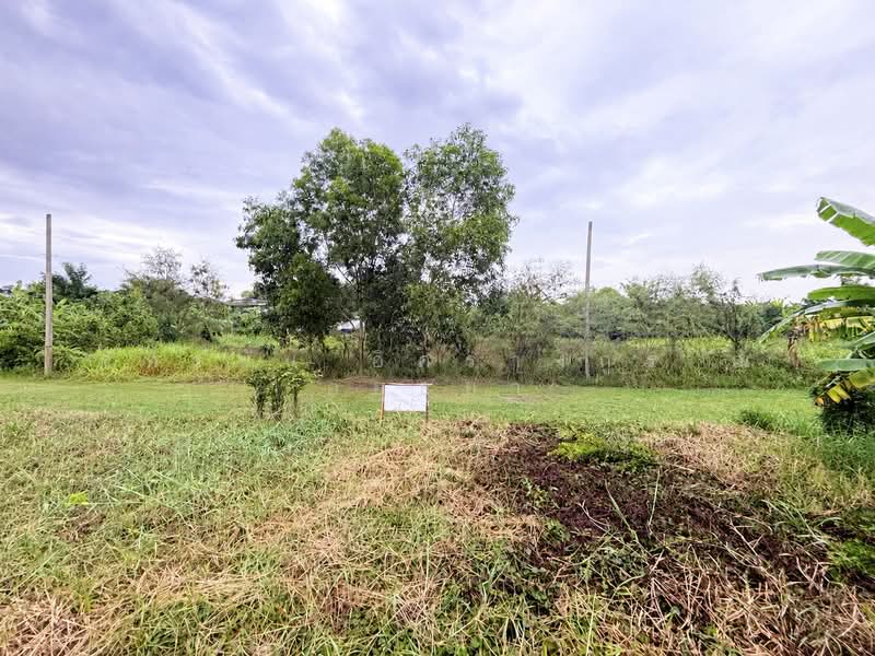 Poon Lap, Pathum Thani, Bang Thut, Muang Pathum Thani, Pathum Thani, , 312 sqm, Land For Sale, by ภัทรนัน อิศรางกูร ณ อยุธยา, 500469347 - DDproperty.com