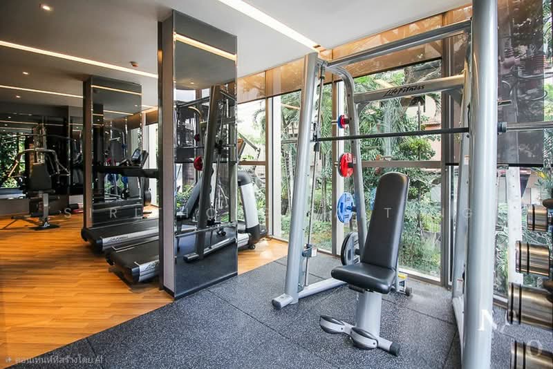 ASHTON Residence 41, Bangkok, Sukhumvit 41, Khlong Tan Nua, Watthana, Bangkok, 3 Bedrooms, 135 sqm, Condo For Rent, by Sirithong Saetang, 500469396 - DDproperty.com