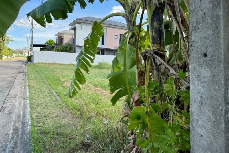 Sivalee Rangsit 2, Pathum Thani, รังสิต - นครนายก, Khu Khot, Lam Luk Ka, Pathum Thani, , 632 sqm, Land For Sale, by Connex Property, 500469399 - DDproperty.com