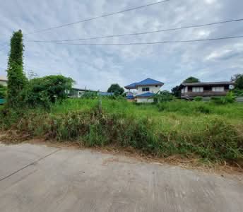 ขาย - ขายที่ดิน เนื้อที่ 91 ตร.ว. ซอยอ่อนนุช 66 แยก 19-12-4 ใกล้สวนสาธารณะบึงหนองบอน, กรุงเทพ
