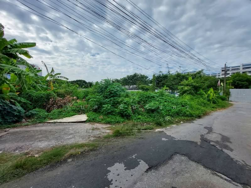 ขายที่ดิน เนื้อที่ 91 ตร.ว. ซอยอ่อนนุช 66 แยก 19-12-4 ใกล้สวนสาธารณะบึงหนองบอน, กรุงเทพ, ประเวศ, กรุงเทพ, 364 ตร.ม., ที่ดิน ขาย, โดย อนันต์ อัมรินทร์, 500469403 - DDproperty.com