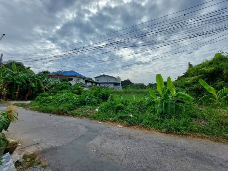 ขายที่ดิน เนื้อที่ 91 ตร.ว. ซอยอ่อนนุช 66 แยก 19-12-4 ใกล้สวนสาธารณะบึงหนองบอน, กรุงเทพ, ประเวศ, กรุงเทพ, 364 ตร.ม., ที่ดิน ขาย, โดย อนันต์ อัมรินทร์, 500469403 - DDproperty.com