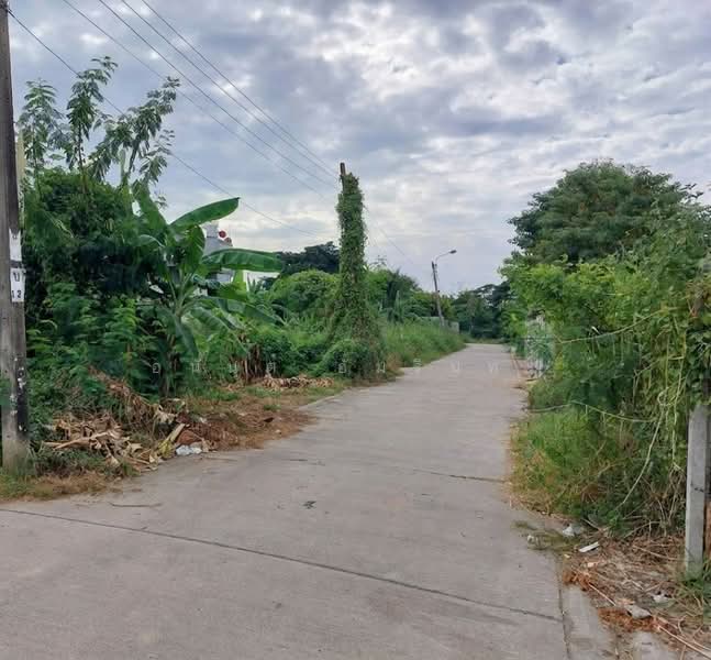 ขายที่ดิน เนื้อที่ 91 ตร.ว. ซอยอ่อนนุช 66 แยก 19-12-4 ใกล้สวนสาธารณะบึงหนองบอน, กรุงเทพ, ประเวศ, กรุงเทพ, 364 ตร.ม., ที่ดิน ขาย, โดย อนันต์ อัมรินทร์, 500469403 - DDproperty.com