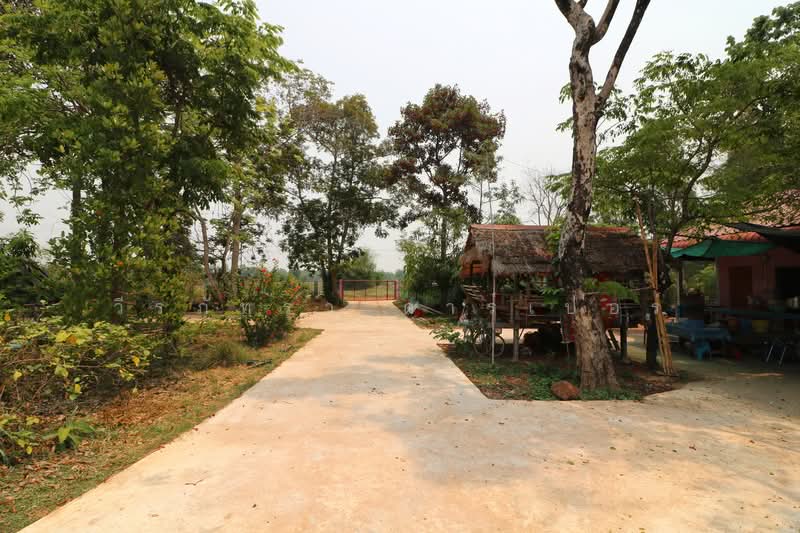 3 BRM 3Bath House, 16+ Rai Nong Han Udon Thani, Udon Thani, Nong Phai, Nong Han, Udon Thani, , 25,980 sqm, Land For Sale, by วีรภัทรา ดาร์เปอร์, 500469427 - DDproperty.com