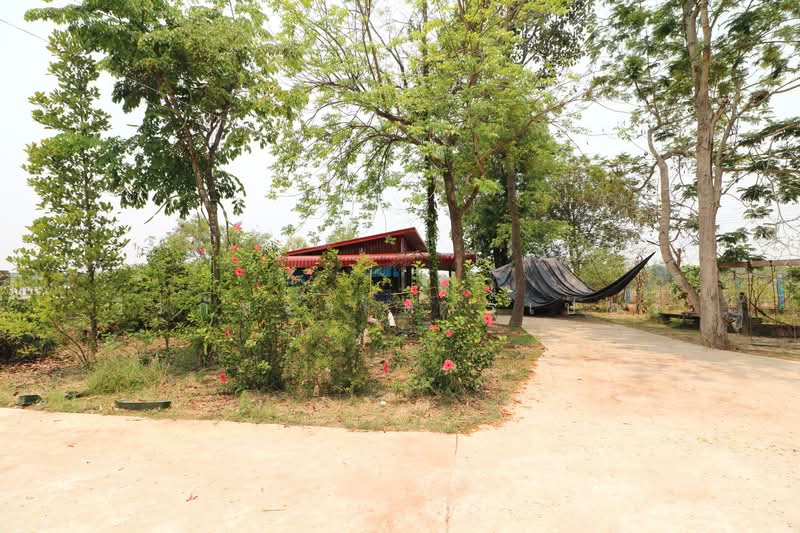 3 BRM 3Bath House, 16+ Rai Nong Han Udon Thani, Udon Thani, Nong Phai, Nong Han, Udon Thani, , 25,980 sqm, Land For Sale, by วีรภัทรา ดาร์เปอร์, 500469427 - DDproperty.com