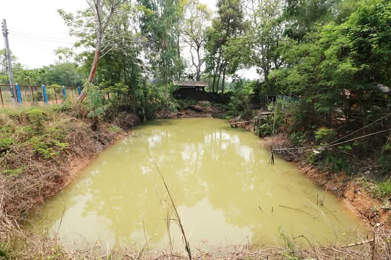 3 BRM 3Bath House, 16+ Rai Nong Han Udon Thani, Udon Thani, Nong Phai, Nong Han, Udon Thani, , 25,980 sqm, Land For Sale, by วีรภัทรา ดาร์เปอร์, 500469427 - DDproperty.com