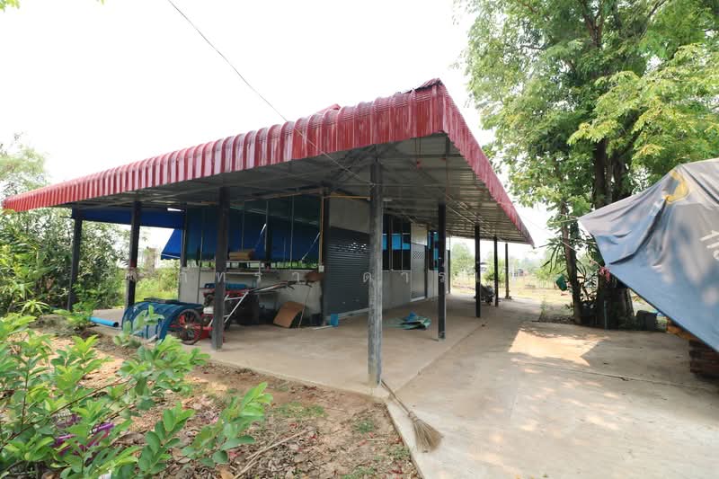 3 BRM 3Bath House, 16+ Rai Nong Han Udon Thani, Udon Thani, Nong Phai, Nong Han, Udon Thani, , 25,980 sqm, Land For Sale, by วีรภัทรา ดาร์เปอร์, 500469427 - DDproperty.com